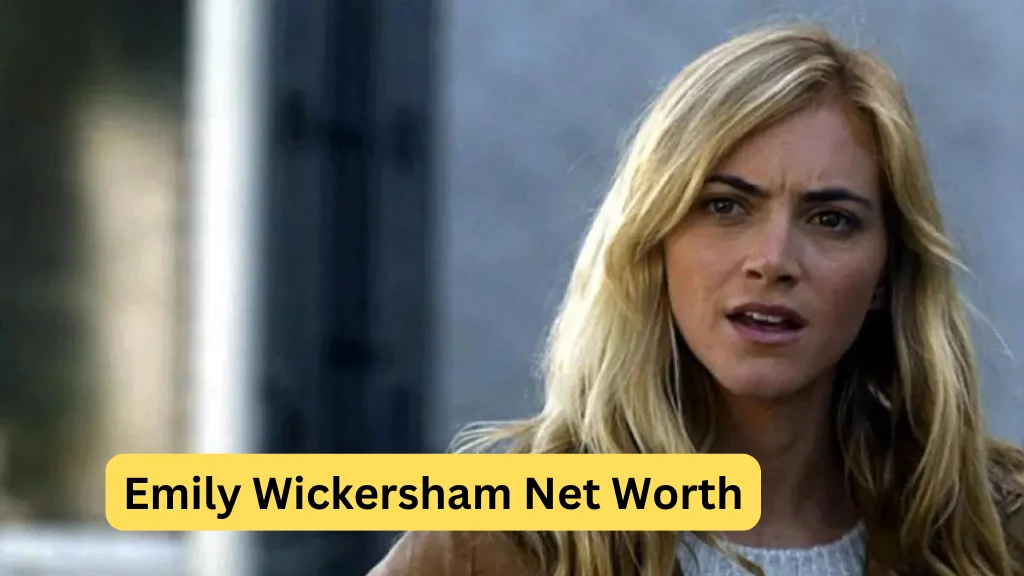 Emily Wickersham Net Worth